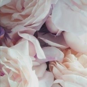 Meet your Posher, Cassie